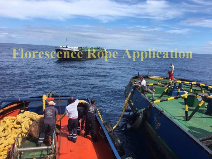 12 Strang UHMWPE Synthetisches Seil UHMWPE Schiffsseil 7